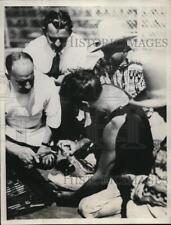 1932 Press Photo jacaré 125 anos tem dente removido na Feira Mundial de Chicago comprar usado  Enviando para Brazil