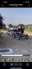 Wheel cob size for sale  CHELMSFORD