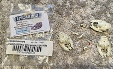 Epic 40k eldar for sale  LONDON