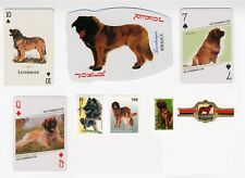 Leonberger dog collectable for sale  COLEFORD