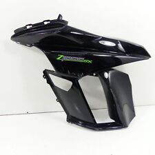 Kawasaki 1000 seitenverkleidun gebraucht kaufen  Dortmund