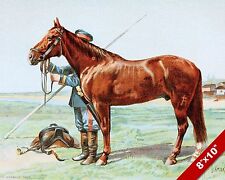 Horse training bridled for sale  South Jordan