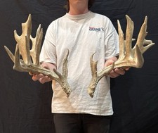 moose sheds for sale moose sheds for sale Baton Rouge