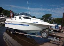 Drago 600 fiesta for sale  BRIDGWATER