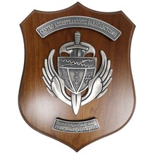 Crest centro addestramento usato  Santa Luce