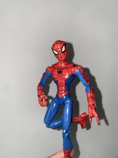 The spectacular spider usato  Nola