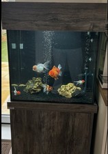Fish tank stand for sale  BANWELL