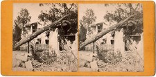 Asnières.maison ruine.arbre c d'occasion  Le Teil