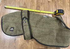 Country twee whippet for sale  BERKHAMSTED