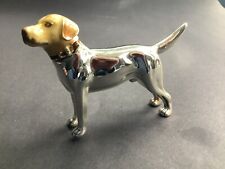 Saturno silver labrador for sale  CARDIFF
