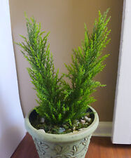 Artificial palm plants for sale  Indianapolis