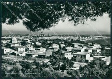Livorno rosignano marittimo usato  Gambolo