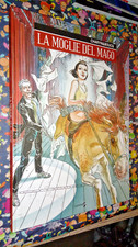 Graphic novel moglie usato  Teramo