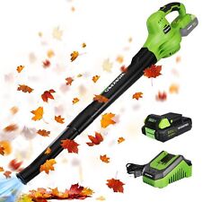 Workpro cordless leaf for sale  Haltom City