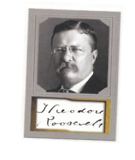 Teddy roosevelt 2020 for sale  Brooklyn