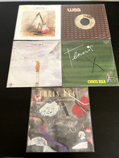 Vinili giri chris usato  Cesena