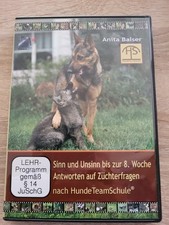Sinn unsinn zur gebraucht kaufen  Neubrandenburg-Umland