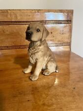 Golden lab puppy for sale  Sherman