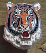 Leyland tiger bus for sale Leyland tiger bus for sale  BLACKPOOL