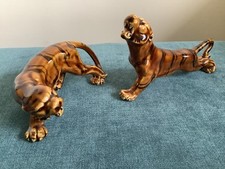 Glazed brown tiger for sale  SWADLINCOTE