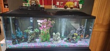 Gallon fish tank for sale  Crown Point