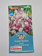 Sweet rocket mixed for sale  PETERBOROUGH