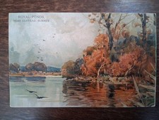 Royal ponds near for sale  NORTHAMPTON