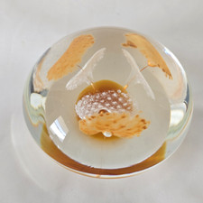 Glass paperweight jellyfish for sale  Pompano Beach