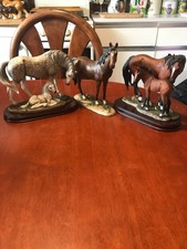 Leonardo collection horses for sale  ALCESTER