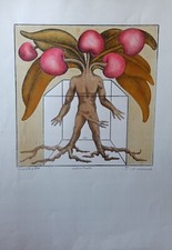 Vanni viviani litografia usato  Fucecchio