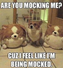 Funny corgi dog for sale  Shipping to Ireland