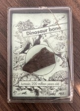 Dinosaur bone jurassic for sale Dinosaur bone jurassic for sale  FLEETWOOD