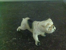 Bulldogge porzellanhund alte gebraucht kaufen  Quickborn