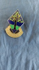 Girl guiding metal for sale  EXETER