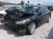 Honda accord 2008 for sale  East Saint Louis