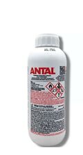 Antal equivalente decis usato  Santa Maria la Carità