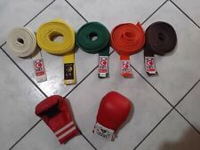 Cinture guanti karate usato  Italia