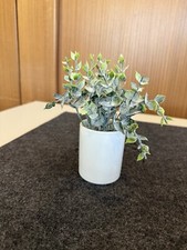 Gastronomie tischdeko blume gebraucht kaufen  Oberteuringen