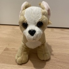 Webkinz & Lil'Kinz for sale  Boston