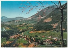 Dizzasco castiglione fedele usato  Isola Vicentina