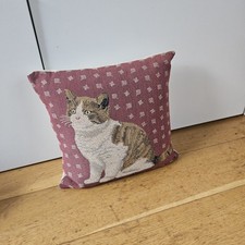 Cat kitten tabby for sale  CHELTENHAM