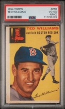 Ted williams 1954 for sale  Pike Road