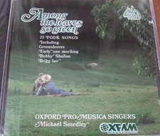 CD Among the Leaves So Green, , Usado; Muito Bom comprar usado  Enviando para Brazil