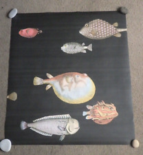 Fornasetti acquario wallpaper for sale  AYLESBURY