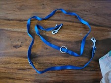 Halsband leine welpenset gebraucht kaufen  Alzenau