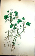 Original old antique for sale Original old antique for sale  UK