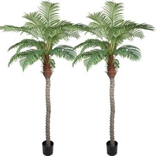 Palm coconut artificial for sale  Brentwood