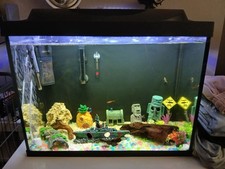 Fish tank mint for sale  GREAT YARMOUTH