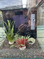 Starter fish tank for sale  RAINHAM