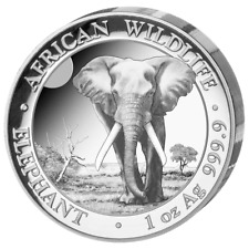 african wildlife elephant gebraucht kaufen  Borgholzhausen